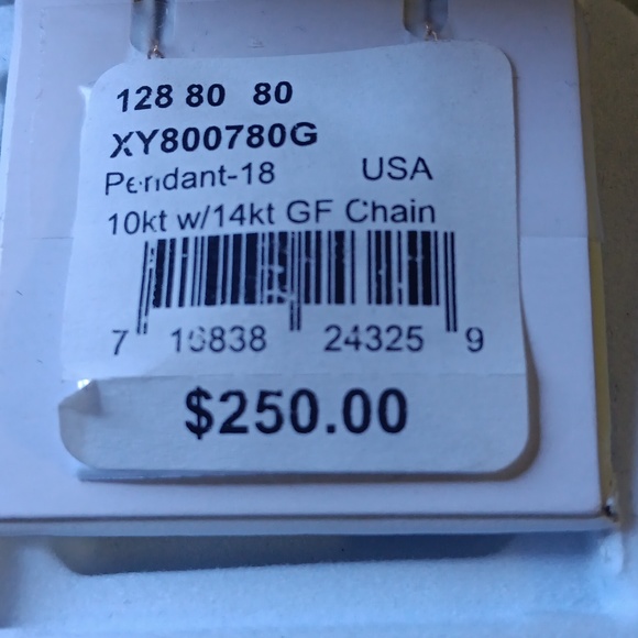 10kt. gold pendant w/ 14kt. GF chain - Picture 4 of 4